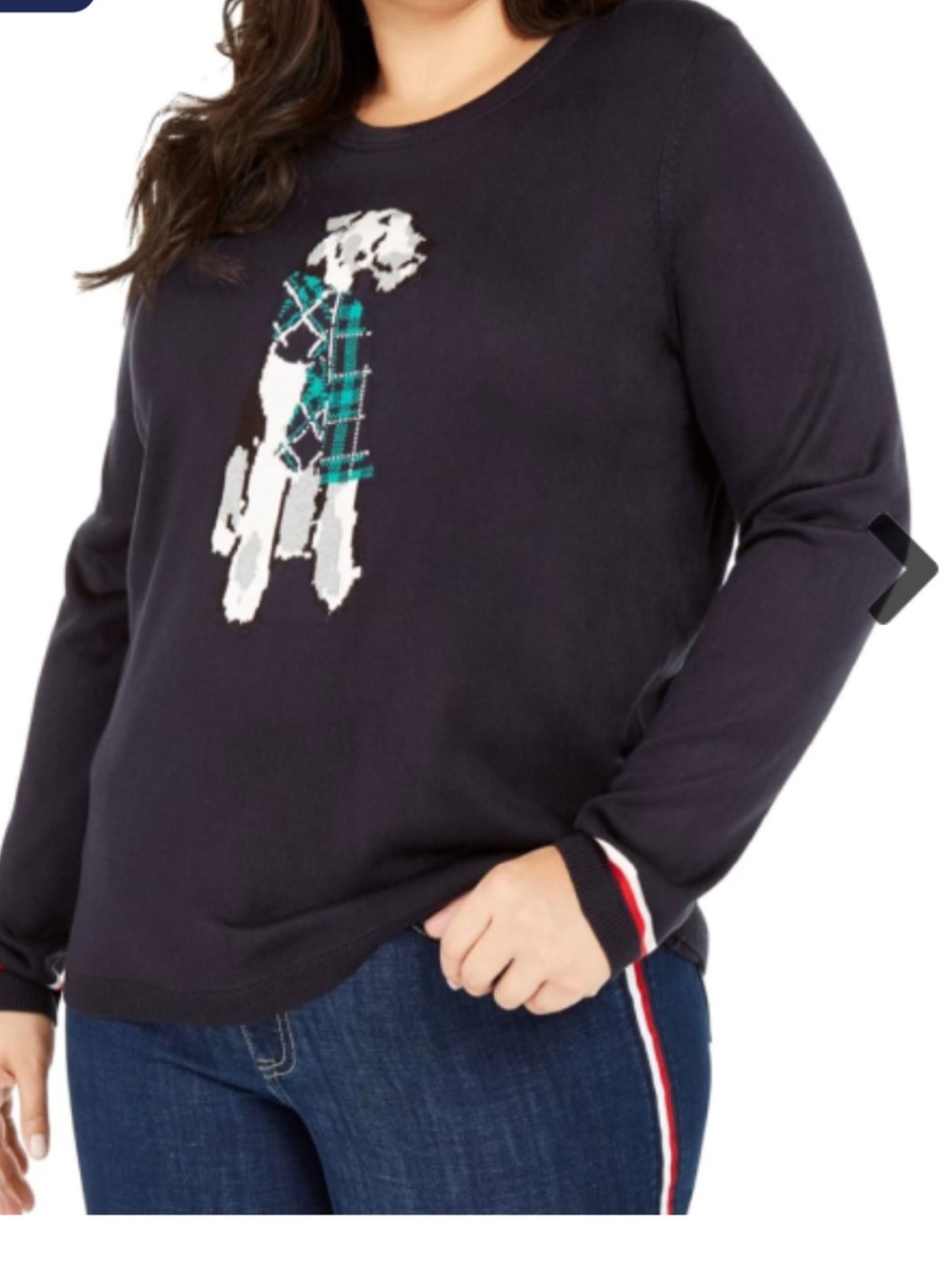 Tommy Hilfiger Navy Crewneck Sweater with Dog Terrier Graphic Women’s Medium